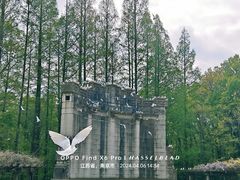 -音乐台