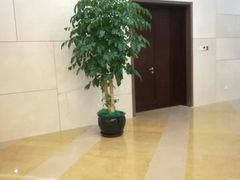 -国家会议中心大酒店