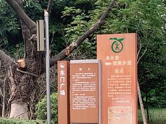 -滴水岩森林公园