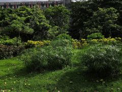 -7mall美食潮地标