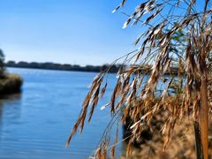 -武清南湖绿博园