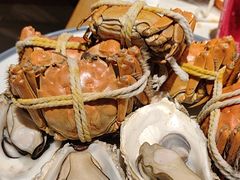 -杨氏青龙虾·羊蝎子(金盛路总店)