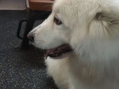 -RoMan罗马健身工作室(莘庄店)