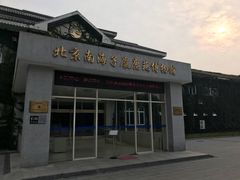 -北京麋鹿生态实验中心