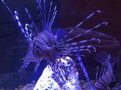 -邯郸海洋世界