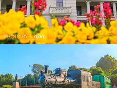 -飞马旅黎黄陂路文旅街区