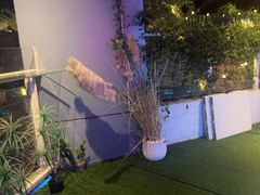 -CIAO·团建聚餐·生日派对轰趴馆(福田店)