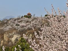 -白水寺森林公园