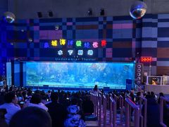 -泉城欧乐堡海洋极地世界