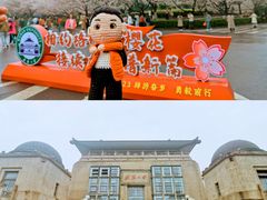 -武汉大学-樱园