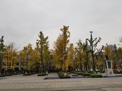 -百林公园-两江幸福广场