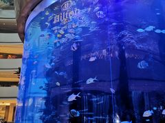 -OPEN開全日自助餐厅·西餐·海鲜(佛山希尔顿酒店)