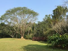 -中国科学院西双版纳热带植物园