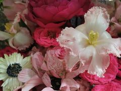 -瑞虹新天地月亮湾