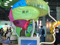 -南京科技馆