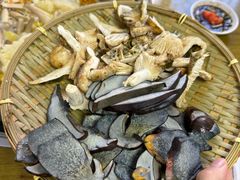 -菌极鲜野生菌火锅店(阳明祠店)