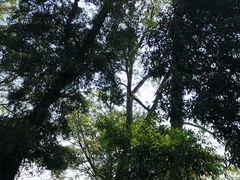 -扬美古镇景区