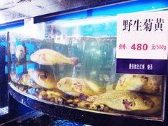 -莆鑫海鲜城(浏河店)