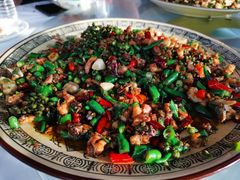 -铁山坪森林公园