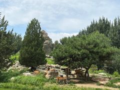 -北京野生动物园