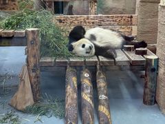 -无锡动物园·太湖欢乐园