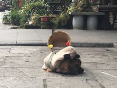 -崇州市街子古镇