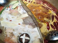 红白鸳鸯锅-小龙坎火锅(台州路桥区店)