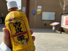 -敦煌市博物馆