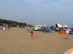 -碧海金沙