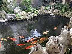 -鲤院·新中式美学·庭院餐厅(夫子庙店)