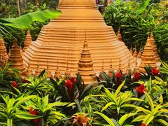 -南宫五洲植物乐园