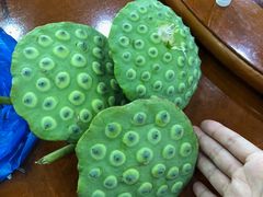 -全乐鱼馆·淳牌有机鱼直营店