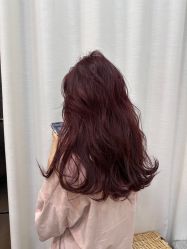 -IDOL-PLUS