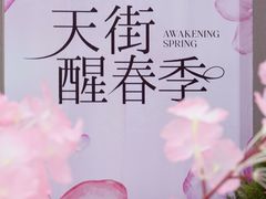 -首开·龙湖成都西宸天街