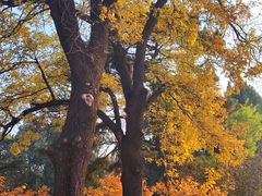 -国家植物园南园