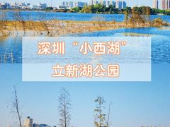 -立新湖公园