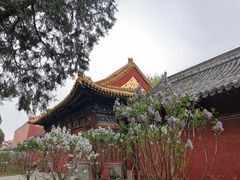 -北京市劳动人民文化宫(太庙)