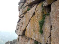 -芦芽山旅游度假区