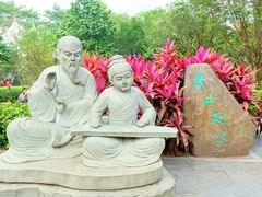 -金花茶公园