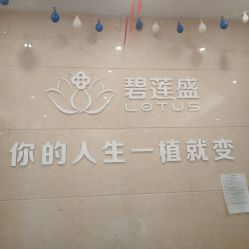 -碧莲盛·不剃发植发