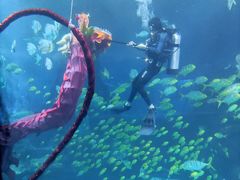 -太平洋海底世界