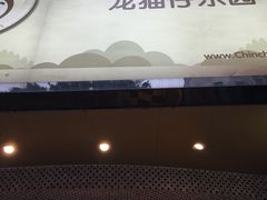 -龙猫仔乐园(惠福东路店)