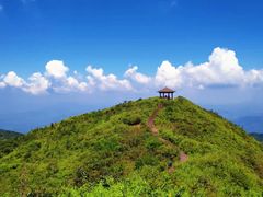 -大围山国家森林公园