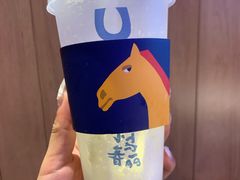 -春丽小马(济南恒隆广场店)