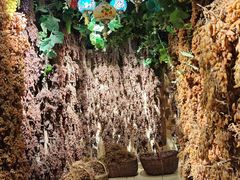 -新疆国际大巴扎