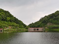 -广州市流溪河国家森林公园
