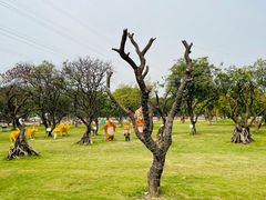 -长洲岛都市农业公园