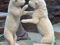 -陕西自然博物馆