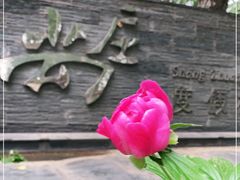 -尚庄度假村·庭台树下·户外烧烤·团建CS·轰趴营地(上庄水库店)