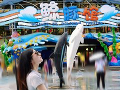 -海合安成都极地海洋公园